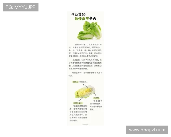 全面了解白菜信息网：最新资讯与实用技巧分享