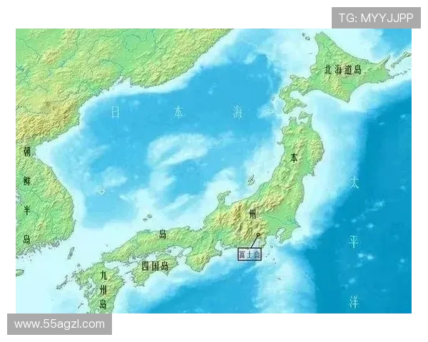 探究'Pino'在日本的多重含义及文化背景